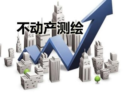 不動(dòng)產(chǎn)測繪.png